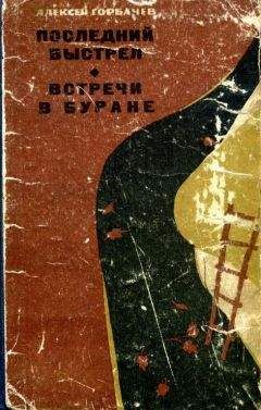 Читайте книги онлайн на Bookidrom.ru! Бесплатные книги в одном клике Алексей Горбачев - Последний выстрел. Встречи в Буране