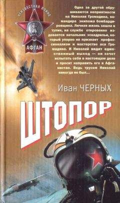 Читайте книги онлайн на Bookidrom.ru! Бесплатные книги в одном клике Иван Черных - Штопор