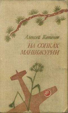 Читайте книги онлайн на Bookidrom.ru! Бесплатные книги в одном клике Алексей Котенев - Последний перевал