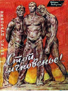 Читайте книги онлайн на Bookidrom.ru! Бесплатные книги в одном клике Борис Дубровин - Стой, мгновенье!