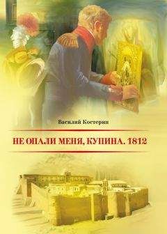 Читайте книги онлайн на Bookidrom.ru! Бесплатные книги в одном клике Василий Костерин - Не опали меня, Купина. 1812