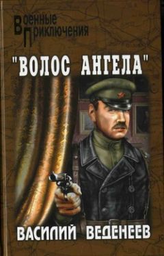 Читайте книги онлайн на Bookidrom.ru! Бесплатные книги в одном клике Василий Веденеев - «Волос ангела»