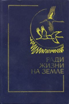 Читайте книги онлайн на Bookidrom.ru! Бесплатные книги в одном клике Николай Грибачев - Здравствуй, комбат!