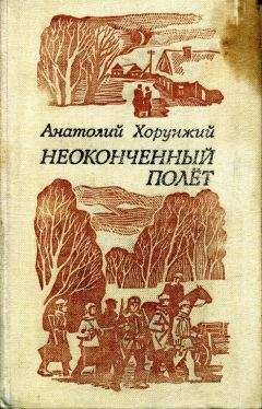 Читайте книги онлайн на Bookidrom.ru! Бесплатные книги в одном клике Анатолий Хорунжий - Неоконченный полет