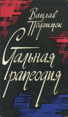 Читайте книги онлайн на Bookidrom.ru! Бесплатные книги в одном клике Вацлав Подзимек - Стальная рапсодия