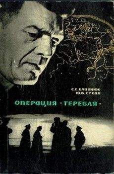 Читайте книги онлайн на Bookidrom.ru! Бесплатные книги в одном клике Семен Близнюк - В лабиринте замершего города
