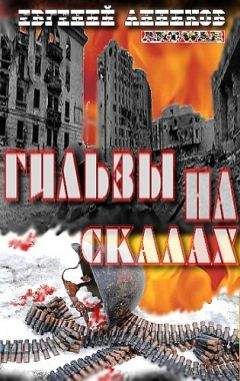 Читайте книги онлайн на Bookidrom.ru! Бесплатные книги в одном клике Евгений Анников - Гильзы на скалах