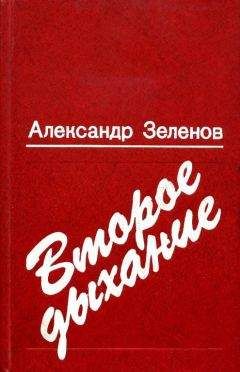Читайте книги онлайн на Bookidrom.ru! Бесплатные книги в одном клике Александр Зеленов - Второе дыхание
