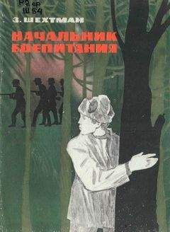 Читайте книги онлайн на Bookidrom.ru! Бесплатные книги в одном клике Зиновий Шехтман - Начальник боепитания