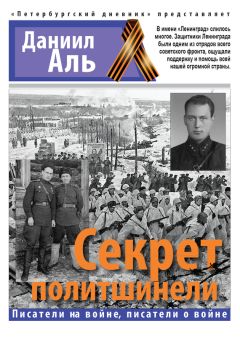 Читайте книги онлайн на Bookidrom.ru! Бесплатные книги в одном клике Даниил Альшиц - Секрет политшинели