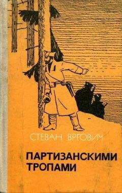 Читайте книги онлайн на Bookidrom.ru! Бесплатные книги в одном клике Стеван Вргович - Партизанскими тропами