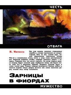 Читайте книги онлайн на Bookidrom.ru! Бесплатные книги в одном клике Николай Матвеев - Зарницы в фиордах