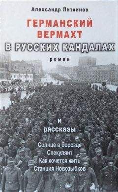 Читайте книги онлайн на Bookidrom.ru! Бесплатные книги в одном клике Александр Литвинов - Германский вермахт в русских кандалах