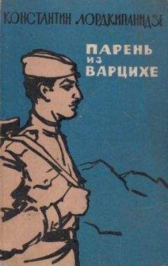 Читайте книги онлайн на Bookidrom.ru! Бесплатные книги в одном клике Константин Лордкипанидзе - Парень из Варцихе