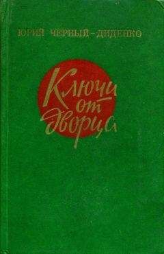 Читайте книги онлайн на Bookidrom.ru! Бесплатные книги в одном клике Юрий Черный-Диденко - Ключи от дворца