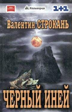 Читайте книги онлайн на Bookidrom.ru! Бесплатные книги в одном клике Валентин Строкань - Чёрный иней