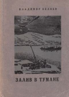 Читайте книги онлайн на Bookidrom.ru! Бесплатные книги в одном клике Владимир Беляев - Залив в тумане