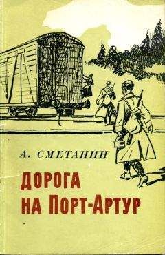 Читайте книги онлайн на Bookidrom.ru! Бесплатные книги в одном клике Александр Сметанин - Дорога на Порт-Артур