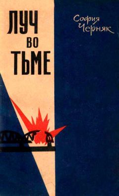 Читайте книги онлайн на Bookidrom.ru! Бесплатные книги в одном клике Софья Черняк - Луч во тьме