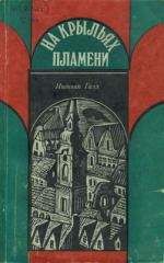 Читайте книги онлайн на Bookidrom.ru! Бесплатные книги в одном клике Иштван Галл - На крыльях пламени