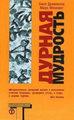 Читайте книги онлайн на Bookidrom.ru! Бесплатные книги в одном клике Билл Драммонд - Дурная мудрость