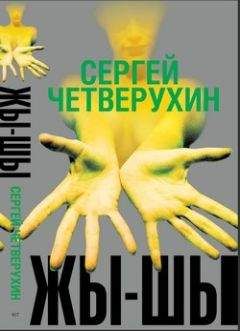 Читайте книги онлайн на Bookidrom.ru! Бесплатные книги в одном клике Сергей Четверухин - Жи-Ши