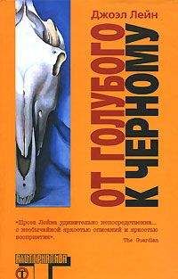 Читайте книги онлайн на Bookidrom.ru! Бесплатные книги в одном клике Джоэл Лейн - От голубого к черному