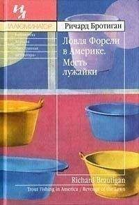 Читайте книги онлайн на Bookidrom.ru! Бесплатные книги в одном клике Ричард Бротиган - Ловля форели в Америке. Месть лужайки