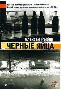 Читайте книги онлайн на Bookidrom.ru! Бесплатные книги в одном клике Алексей Рыбин - Черные яйца