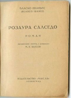 Читайте книги онлайн на Bookidrom.ru! Бесплатные книги в одном клике Висенте Бласко - Розаура Салседо