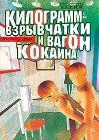 Читайте книги онлайн на Bookidrom.ru! Бесплатные книги в одном клике Вадим Калинин - Килограмм взрывчатки и вагон кокаина