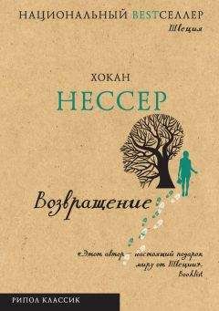 Читайте книги онлайн на Bookidrom.ru! Бесплатные книги в одном клике Хокан Нессер - Возвращение