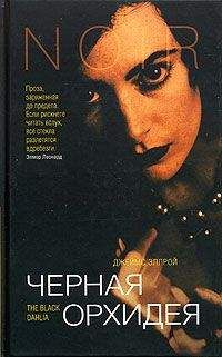 Читайте книги онлайн на Bookidrom.ru! Бесплатные книги в одном клике Джеймс Эллрой - Черная Орхидея