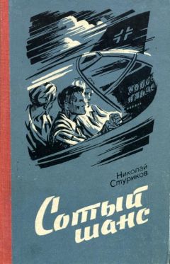 Читайте книги онлайн на Bookidrom.ru! Бесплатные книги в одном клике Николай Стуриков - Сотый шанс