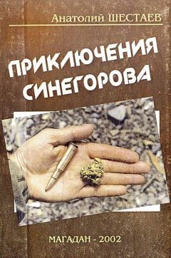 Читайте книги онлайн на Bookidrom.ru! Бесплатные книги в одном клике Анатолий Шестаев - Приключения Синегорова