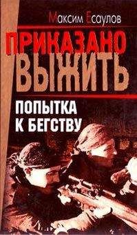 Читайте книги онлайн на Bookidrom.ru! Бесплатные книги в одном клике Максим Есаулов - Попытка к бегству