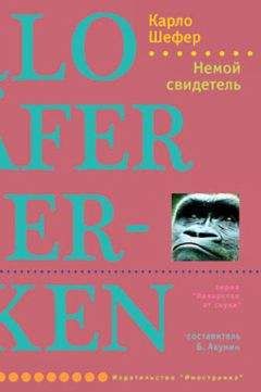 Читайте книги онлайн на Bookidrom.ru! Бесплатные книги в одном клике Карло Шефер - Немой свидетель