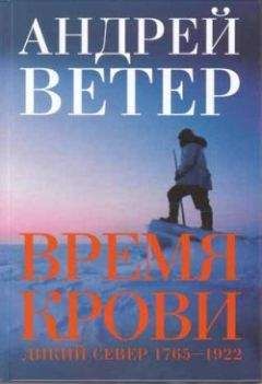 Читайте книги онлайн на Bookidrom.ru! Бесплатные книги в одном клике Андрей Ветер - Время крови