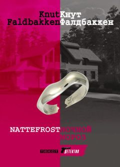 Читайте книги онлайн на Bookidrom.ru! Бесплатные книги в одном клике Кнут Фалдбаккен - Ночной мороз