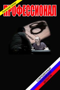 Читайте книги онлайн на Bookidrom.ru! Бесплатные книги в одном клике Анатолий Силин - Профессионал