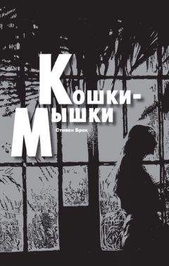 Читайте книги онлайн на Bookidrom.ru! Бесплатные книги в одном клике Стивен Брок - Кошки-мышки