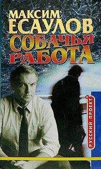 Читайте книги онлайн на Bookidrom.ru! Бесплатные книги в одном клике Максим Есаулов - Мгновения капитана Громова