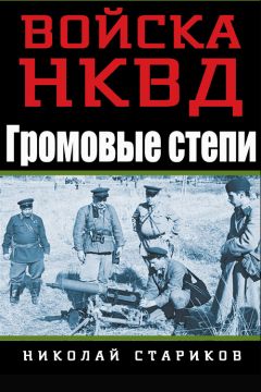 Читайте книги онлайн на Bookidrom.ru! Бесплатные книги в одном клике Николай Стариков - Громовые степи