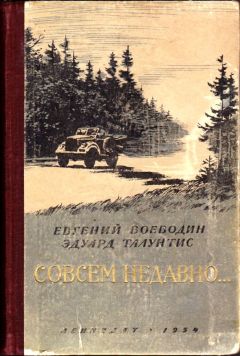 Читайте книги онлайн на Bookidrom.ru! Бесплатные книги в одном клике Евгений Воеводин - Совсем недавно…
