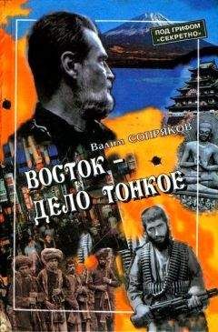 Читайте книги онлайн на Bookidrom.ru! Бесплатные книги в одном клике Вадим Сопряков - Восток — дело тонкое: Исповедь разведчика