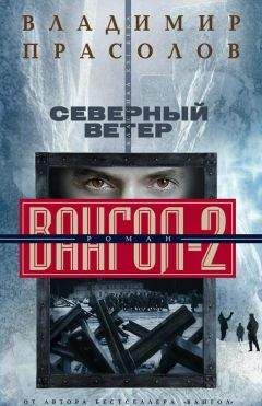 Читайте книги онлайн на Bookidrom.ru! Бесплатные книги в одном клике Владимир Прасолов - Северный ветер