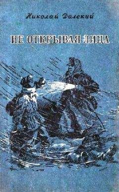 Николай Далекий - Не открывая лица