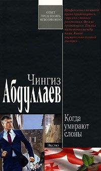 Читайте книги онлайн на Bookidrom.ru! Бесплатные книги в одном клике Чингиз Абдуллаев - Когда умирают слоны