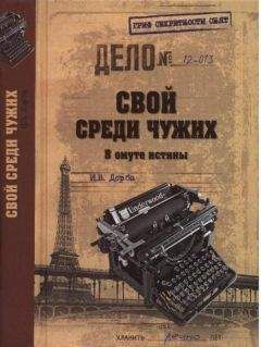 Читайте книги онлайн на Bookidrom.ru! Бесплатные книги в одном клике Иван Дорба - Свой среди чужих. В омуте истины