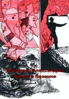 Читайте книги онлайн на Bookidrom.ru! Бесплатные книги в одном клике Владимир Александров - Вилла в Лозанне